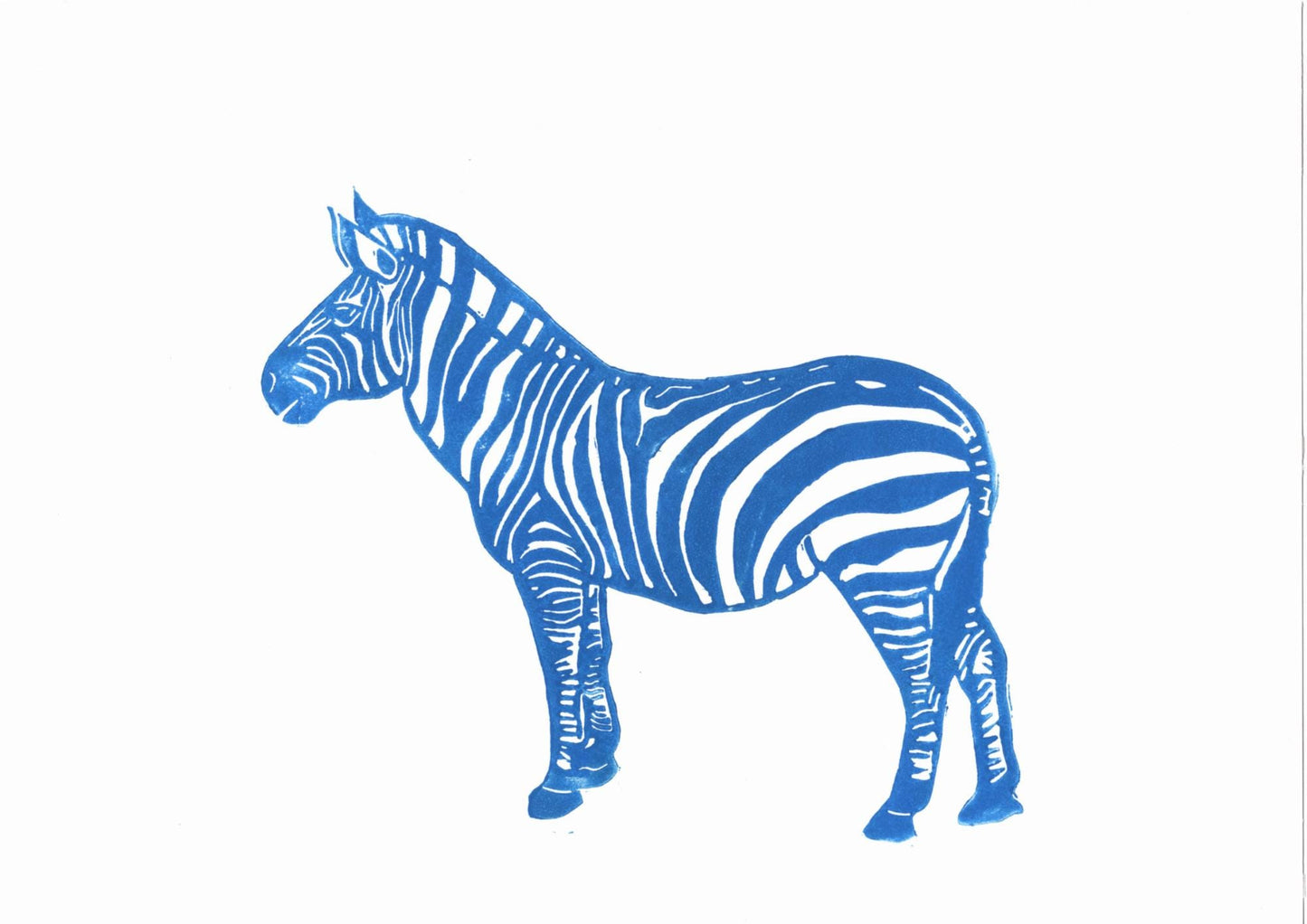 Zebra print