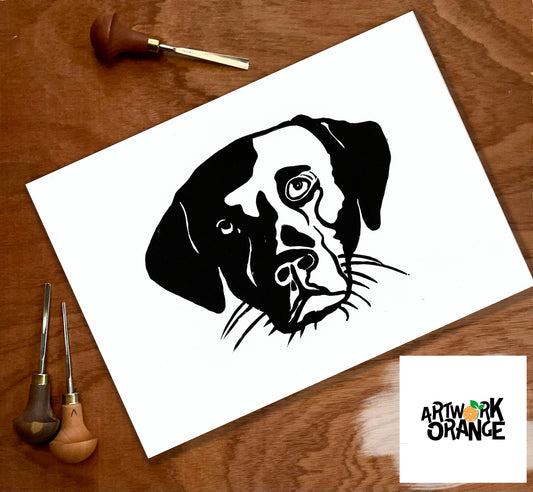 Labrador Black