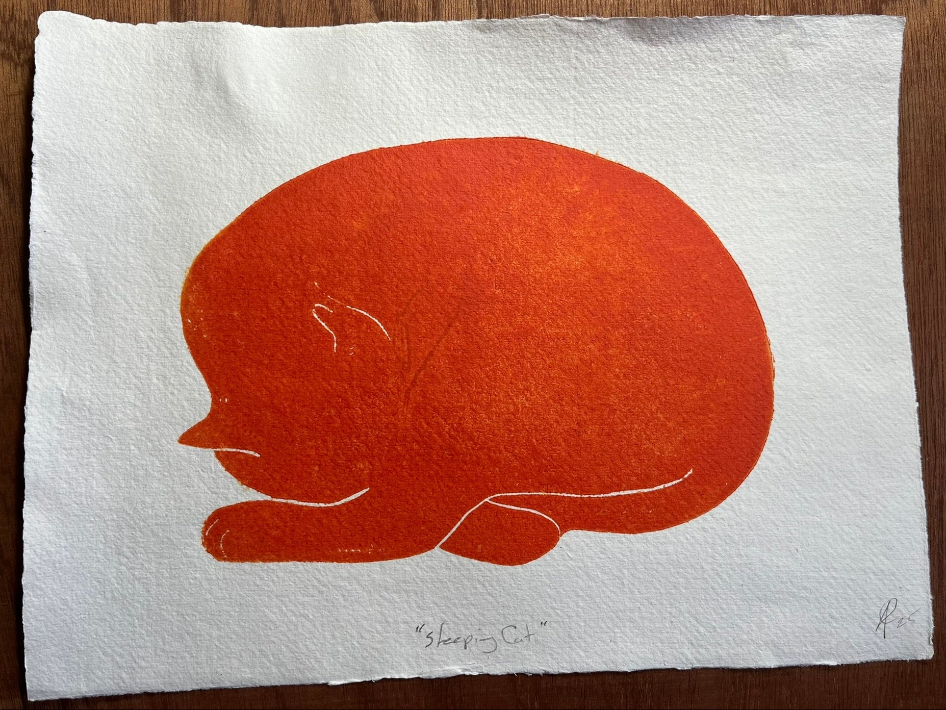Orange sleeping cat