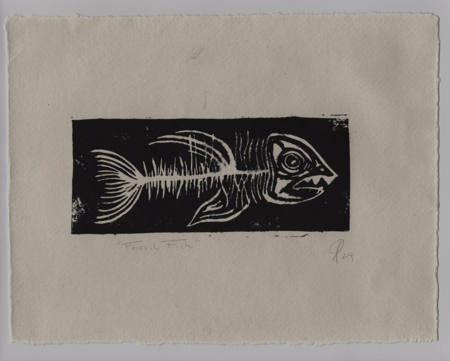 scan of fossil fish