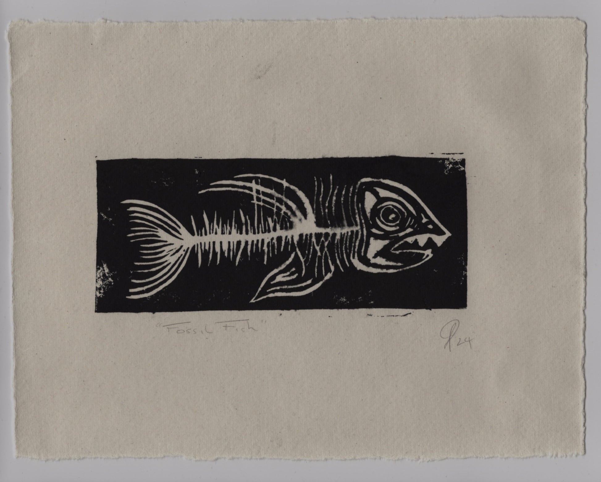 scan of fossil fish