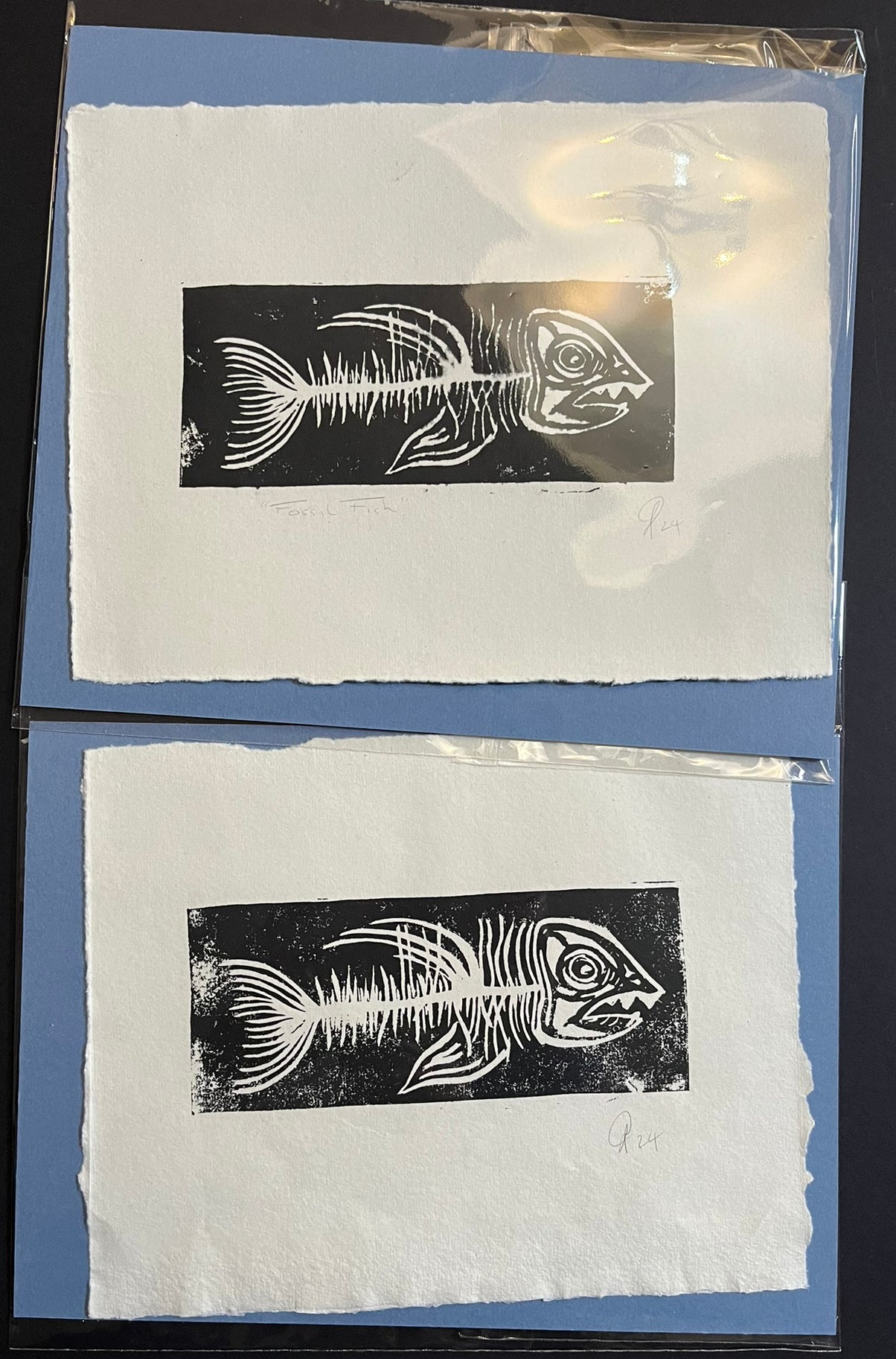 fossil fish bagged