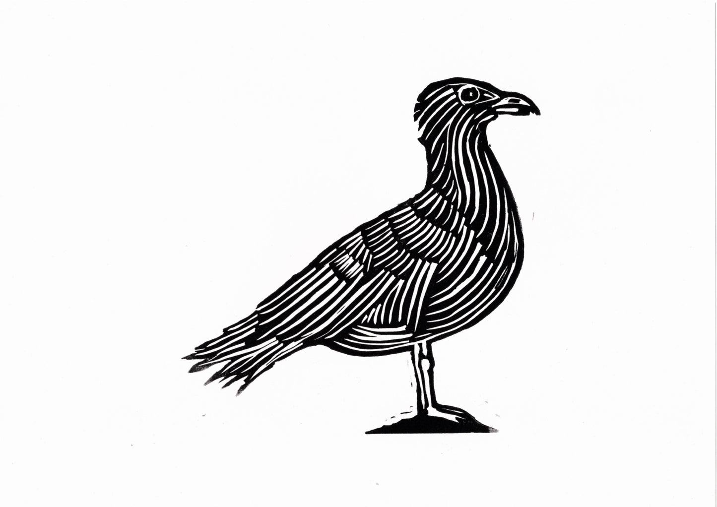 Seagull Print - Red - Black - Blue - Green - A4 Size. Handcrafted Bird Artwork for Animal Lovers