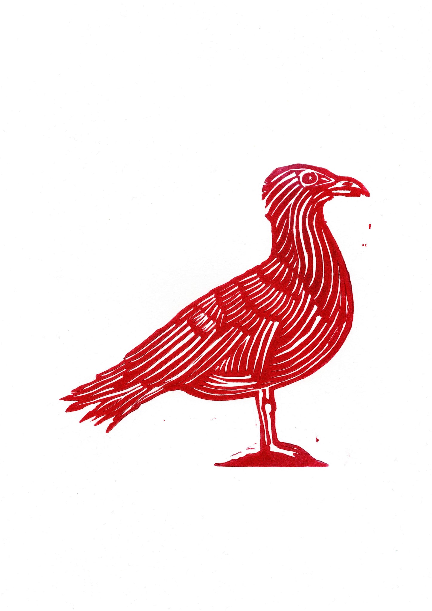 Seagull Print - Red - Black - Blue - Green - A4 Size. Handcrafted Bird Artwork for Animal Lovers